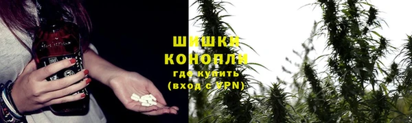 соль ск Инта