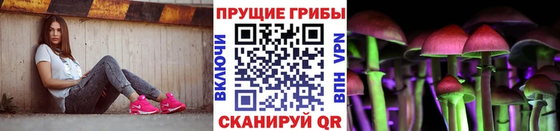 где купить наркотик  Советск  Галлюциногенные грибы Cubensis 