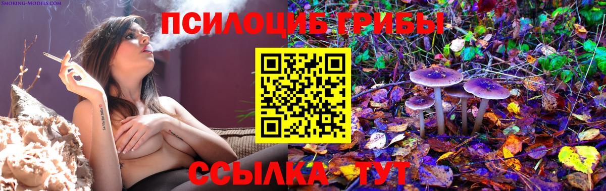 Псилоцибиновые грибы MAGIC MUSHROOMS Советск