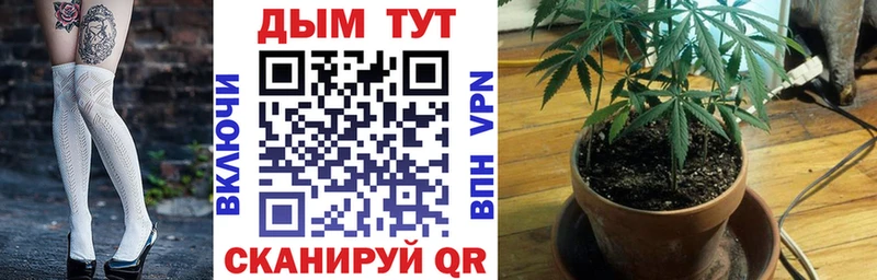 Марихуана SATIVA & INDICA  Советск 